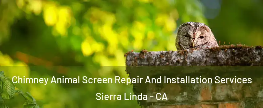 Chimney Animal Screen Repair And Installation Services Sierra Linda - CA