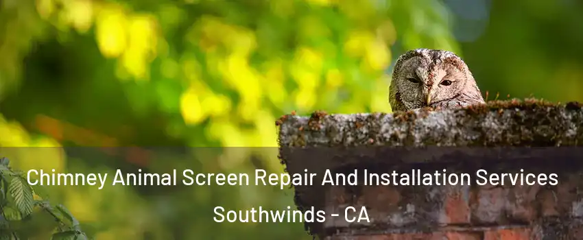 Chimney Animal Screen Repair And Installation Services Southwinds - CA