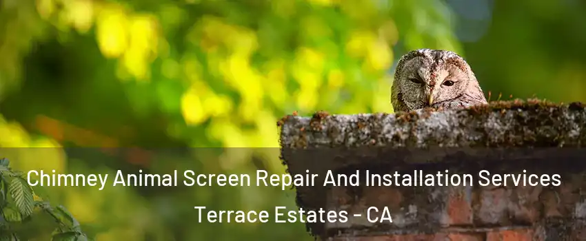 Chimney Animal Screen Repair And Installation Services Terrace Estates - CA