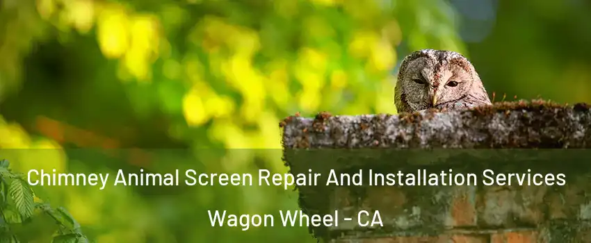 Chimney Animal Screen Repair And Installation Services Wagon Wheel - CA