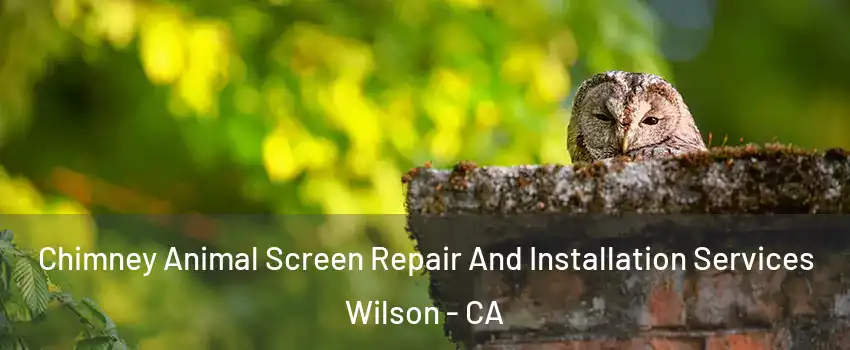 Chimney Animal Screen Repair And Installation Services Wilson - CA