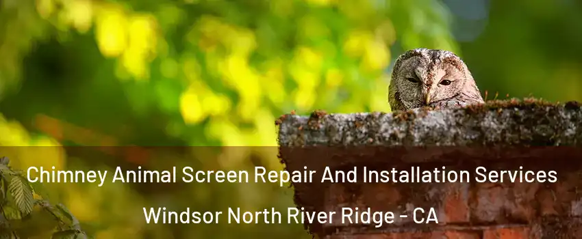 Chimney Animal Screen Repair And Installation Services Windsor North River Ridge - CA