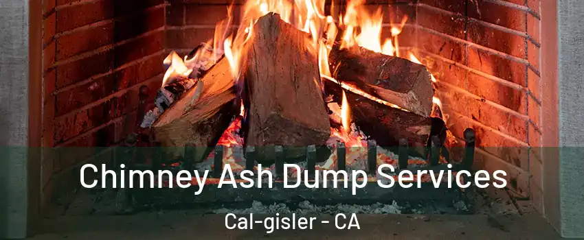 Chimney Ash Dump Services Cal-gisler - CA