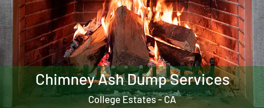 Chimney Ash Dump Services College Estates - CA