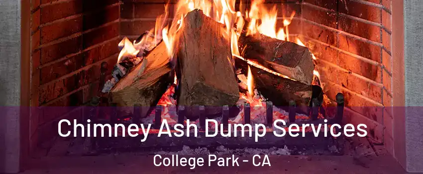 Chimney Ash Dump Services College Park - CA