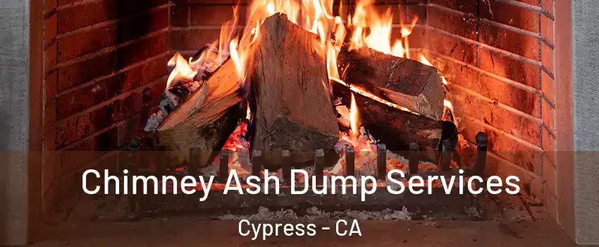 Chimney Ash Dump Services Cypress - CA