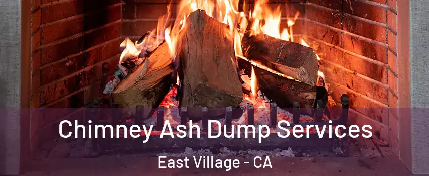 Chimney Ash Dump Services East Village - CA