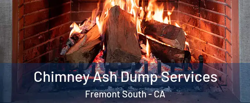 Chimney Ash Dump Services Fremont South - CA