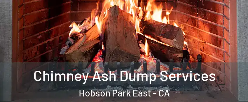 Chimney Ash Dump Services Hobson Park East - CA