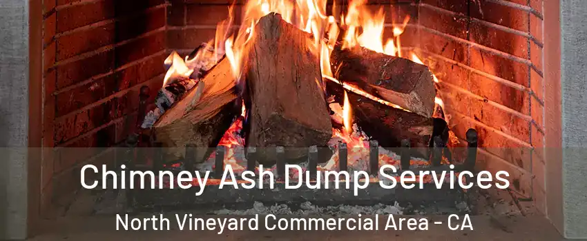 Chimney Ash Dump Services North Vineyard Commercial Area - CA