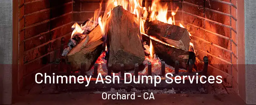 Chimney Ash Dump Services Orchard - CA