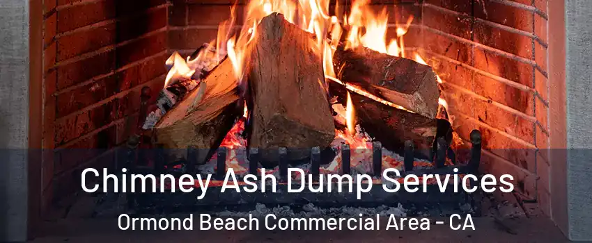 Chimney Ash Dump Services Ormond Beach Commercial Area - CA