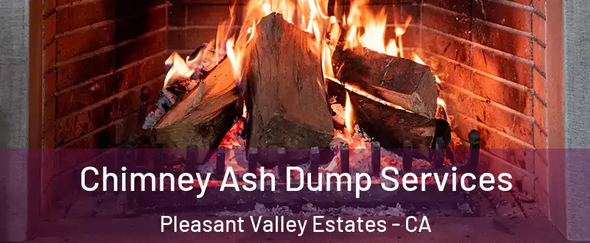 Chimney Ash Dump Services Pleasant Valley Estates - CA