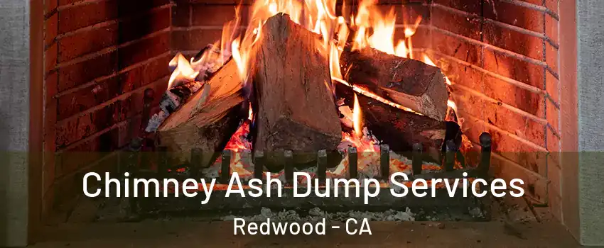 Chimney Ash Dump Services Redwood - CA