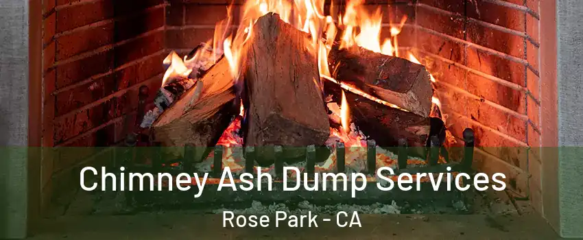 Chimney Ash Dump Services Rose Park - CA