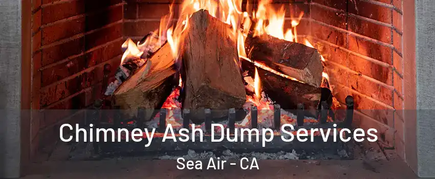 Chimney Ash Dump Services Sea Air - CA