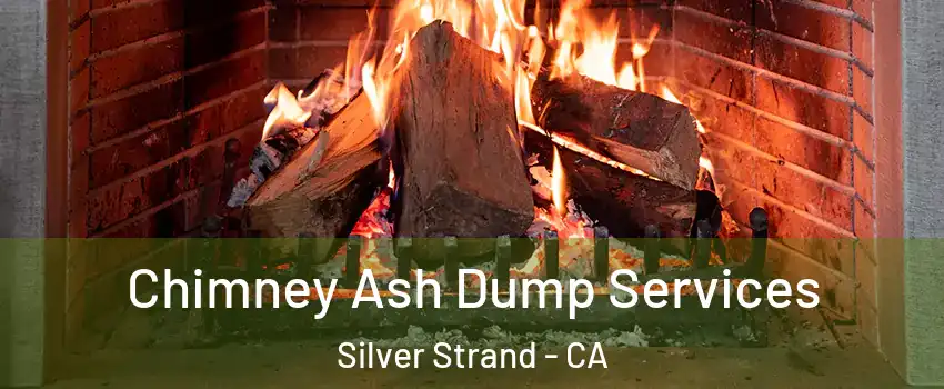 Chimney Ash Dump Services Silver Strand - CA