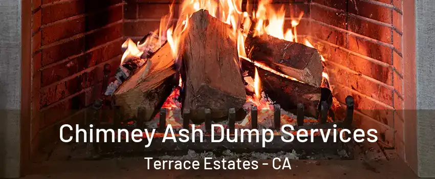Chimney Ash Dump Services Terrace Estates - CA