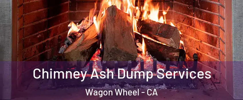 Chimney Ash Dump Services Wagon Wheel - CA