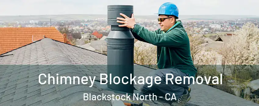 Chimney Blockage Removal Blackstock North - CA