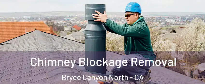 Chimney Blockage Removal Bryce Canyon North - CA