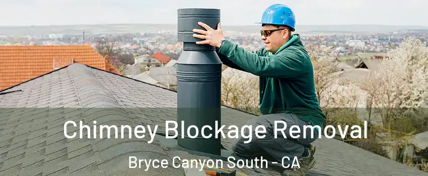 Chimney Blockage Removal Bryce Canyon South - CA