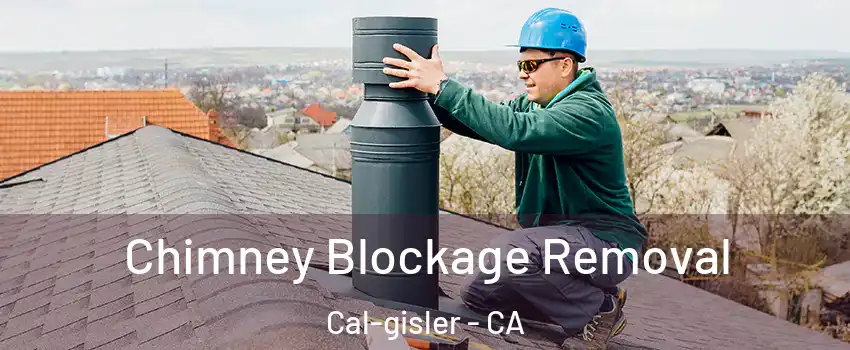 Chimney Blockage Removal Cal-gisler - CA