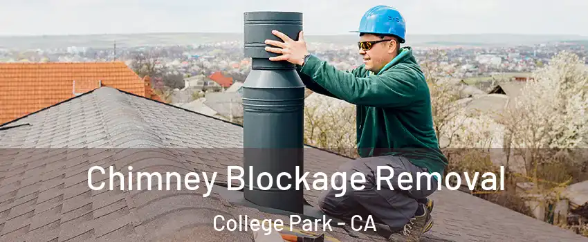 Chimney Blockage Removal College Park - CA
