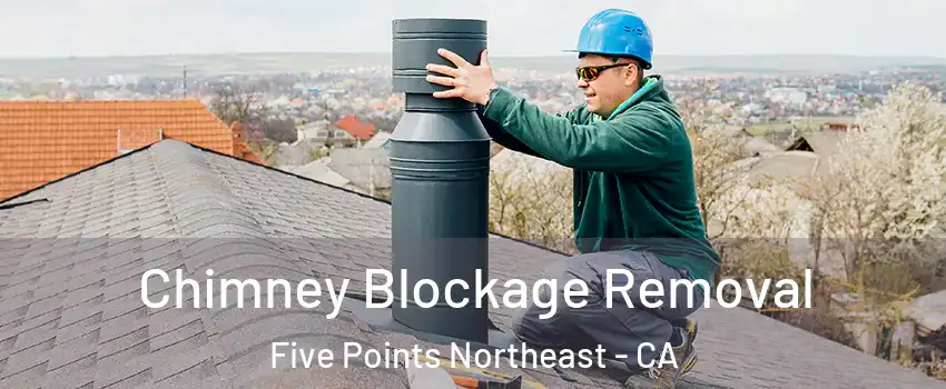 Chimney Blockage Removal Five Points Northeast - CA