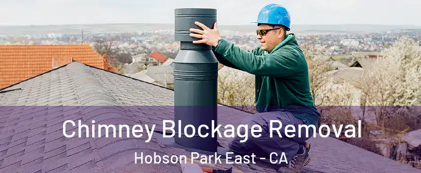 Chimney Blockage Removal Hobson Park East - CA