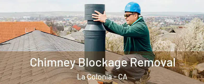 Chimney Blockage Removal La Colonia - CA