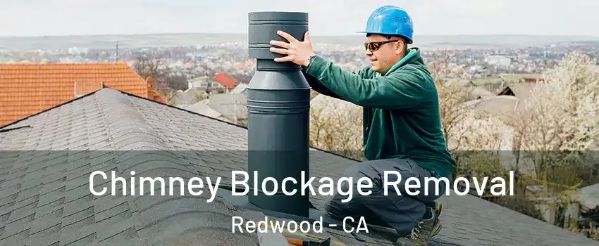 Chimney Blockage Removal Redwood - CA