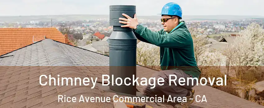 Chimney Blockage Removal Rice Avenue Commercial Area - CA