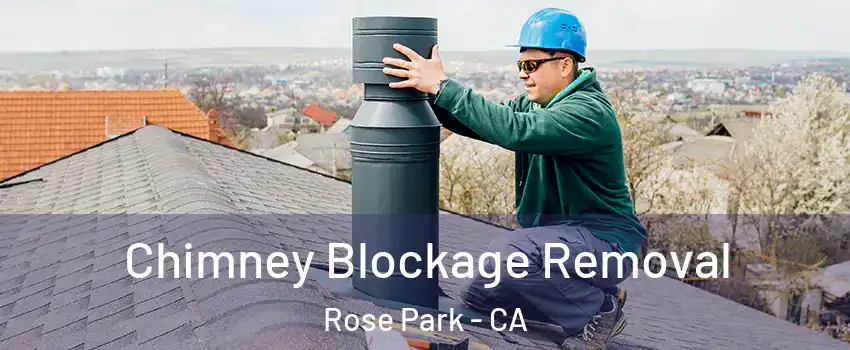 Chimney Blockage Removal Rose Park - CA