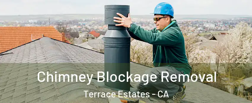 Chimney Blockage Removal Terrace Estates - CA