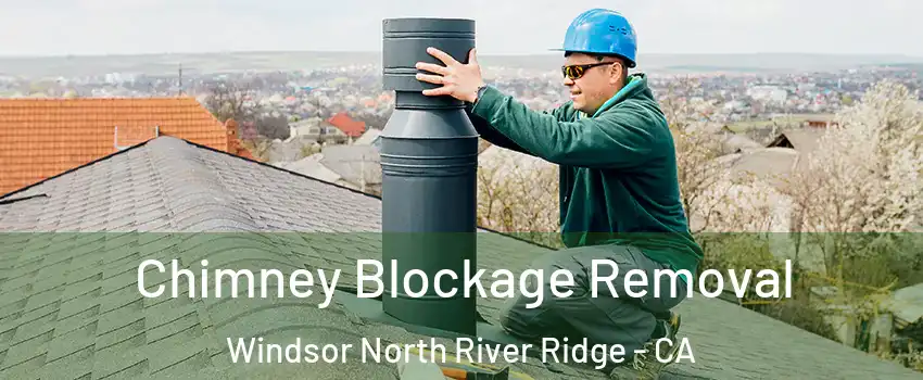 Chimney Blockage Removal Windsor North River Ridge - CA