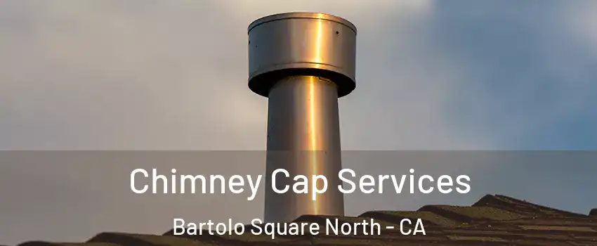 Chimney Cap Services Bartolo Square North - CA