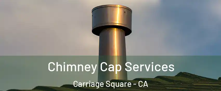 Chimney Cap Services Carriage Square - CA