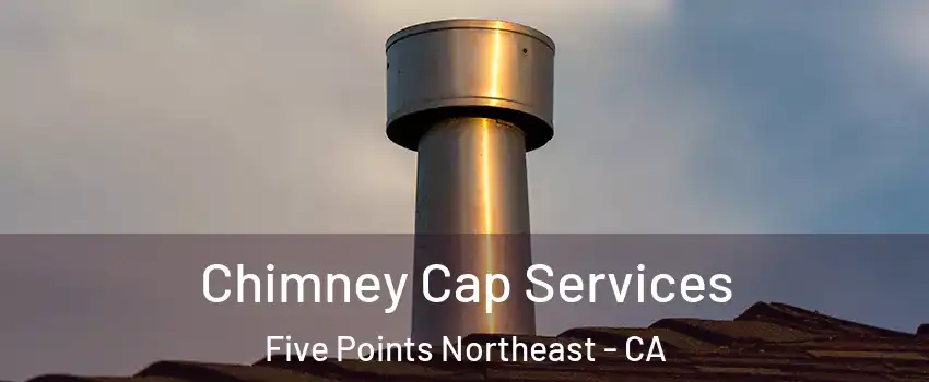 Chimney Cap Services Five Points Northeast - CA