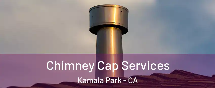 Chimney Cap Services Kamala Park - CA