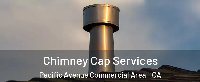 Chimney Cap Services Pacific Avenue Commercial Area - CA