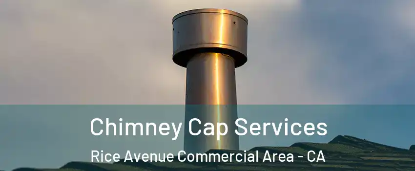 Chimney Cap Services Rice Avenue Commercial Area - CA