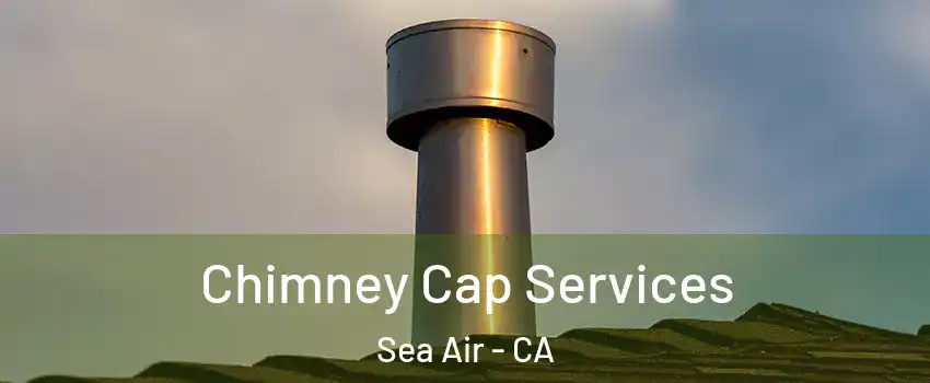 Chimney Cap Services Sea Air - CA