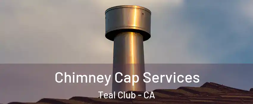 Chimney Cap Services Teal Club - CA