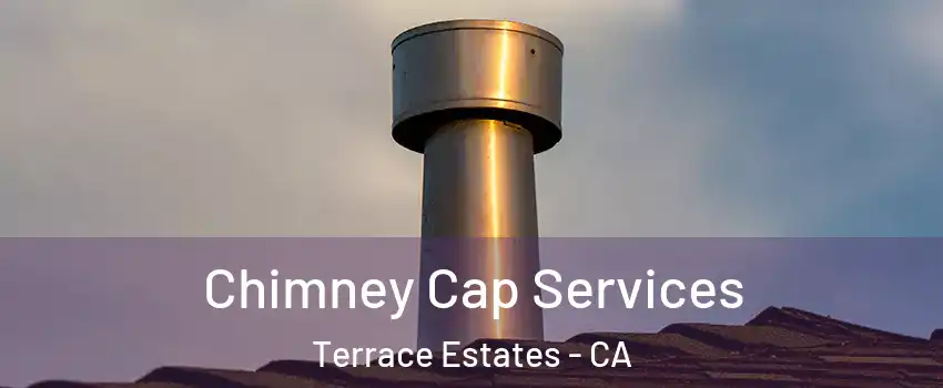 Chimney Cap Services Terrace Estates - CA