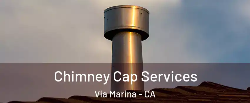 Chimney Cap Services Via Marina - CA
