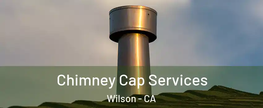 Chimney Cap Services Wilson - CA