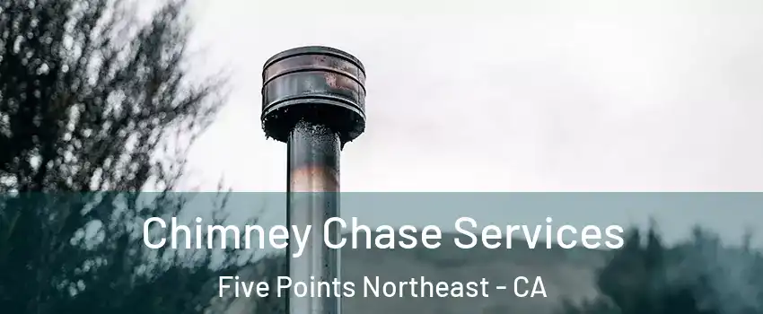 Chimney Chase Services Five Points Northeast - CA
