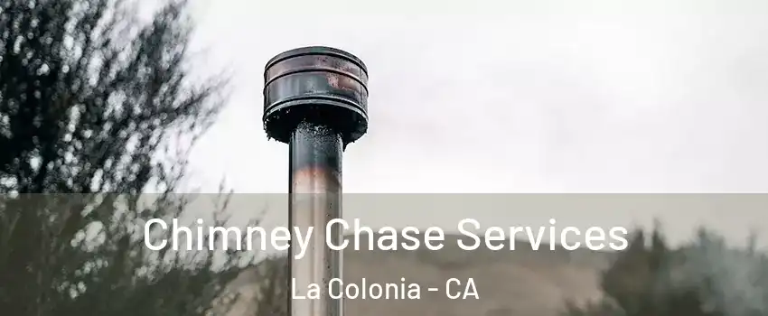 Chimney Chase Services La Colonia - CA
