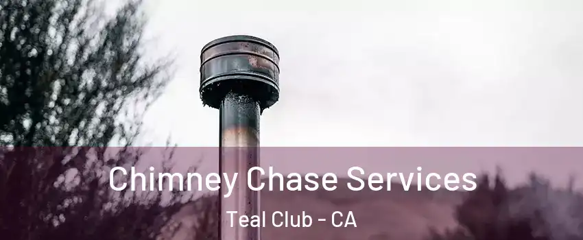 Chimney Chase Services Teal Club - CA